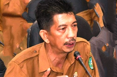 Terkait Pembuatan Dua Web Site Covid-19 Mubazir, Johan: Berita Itu Menyesatkan Pembaca