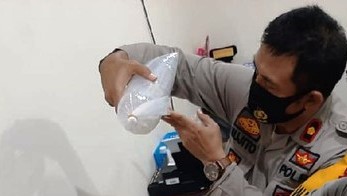 Sedikitnya 41 Ribu Benih Lobster Seludupan Diamankan Polres Trenggalek