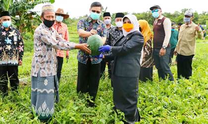 Saat Rahma Panen Raya Cabe dan Semangka Ini Pesannya di Ponpes Al Kautsar