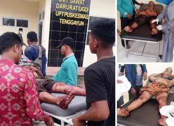 Hewan Penyerang Penderes Getah di Bengkalis Menurut KSDA Benar Harimau