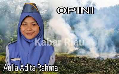 Karhutla di Indonesia Terjadi, Bukti Alih Fungsi Lahan  Gambut Jadi Sawit