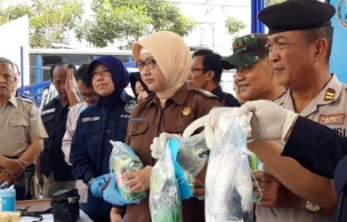 Sabu Tangkapan BNN Nilai Milyaran Diberangus