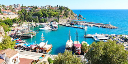 KAMMI Turki Gelar Daurah Marhalah I Virtual Perdana