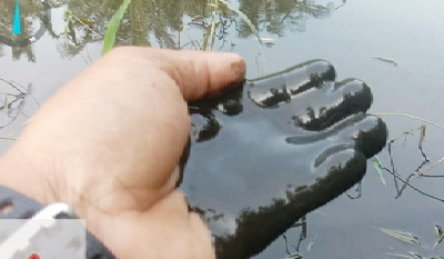 Diduga Limbah PKS, Warga Desa Air Hitam, Pelalawan Dikagetkan Ikan Pada Mengambang