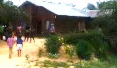 DLHK Diminta Tegas, Athur Berau Dikabarkan Akan Jual Cepat Lahan dalam Kawasan Hutan Bukit Batabuah