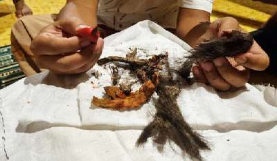 Sempat Geger, Warga Kudus Nyaris Terkecoh Jenglot Karet