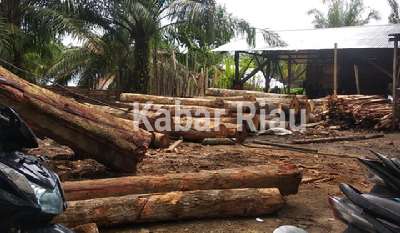 Heboh, Pengusaha Sawmel Sungai Geringging “Kalangkabut” Kedatangan Segerombolan Pria Berpakaian Loreng