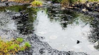 Jangan Hengkang Sebelum Chevron Memulihkan Limbah Blok Rokan, ARIMBI; Laporan Pidana Lingkungannya Hampir Siap