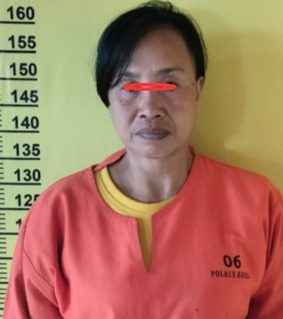 Owalah...Cari Tambahan Uang Dengan Jual Sabu! IRT Di Rohil Kena Ciduk Polisi