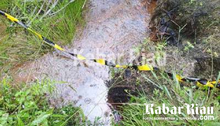 Tiga Kawasan Konservasi di Riau Tecemar Tanpa Pemulihan, ARIMBI: "Gubri Dapat Berapa Ya ?"