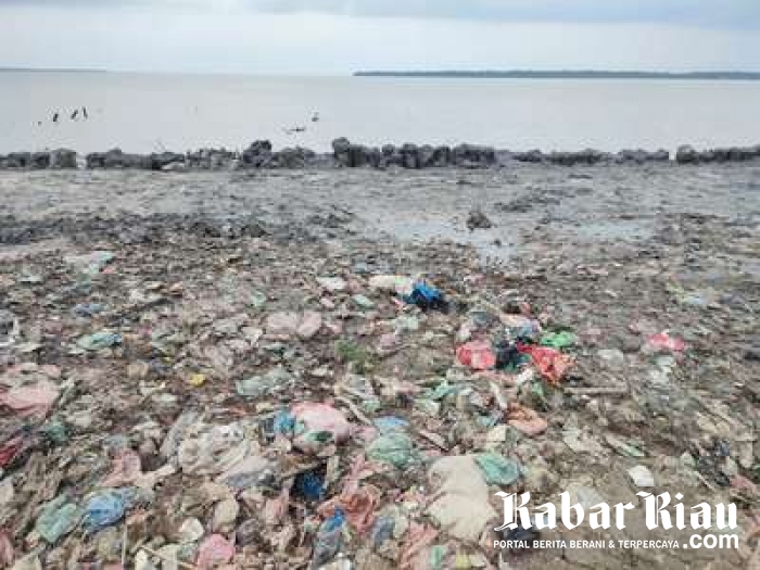 Usai Mepidanakan PT CPI Kini ARIMBI Akan Laporkan Bupati Meranti dan Dinasnya