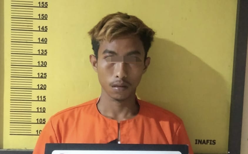 Tukang Panen Sawit di Inhu Garap Anak Majikan, Ditangkap