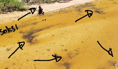 Tim Lapi ITB Pantau Lokasi Pemulihan, Ada Limbah B3 PT CPI “Hakim dan Penyidik Tunggu Apalagi?”