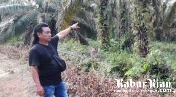 Kunker Komisi IV DPR RI ke Riau Diduga Warga “Bidik Perusahaan Tertentu Saja”