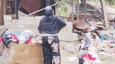 Lahan Makanan Dibuat Kebun Sawit, Gajah Riau Mengamuk Lagi