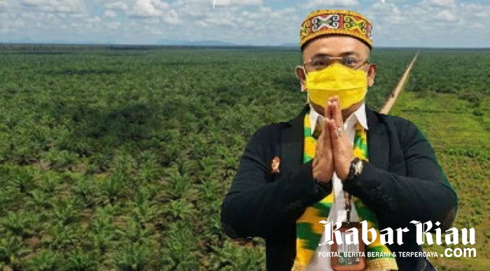 Gulat SE Manurung Buka Suara, Lahan Terkurung dalam Kawasan Hutan Aman? “Lihat UU CK”
