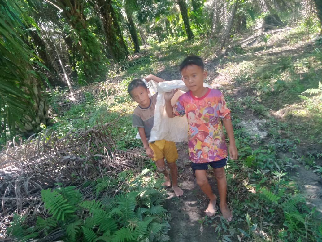Ketika “Darah dan Keringat Buruh Sawit” Sukseskan Program Biodiesel Jokowi
