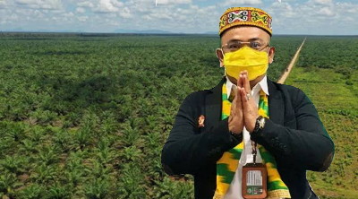 Masih Amankah Cukong Kebun Sawit "Berlindung" Diketiak Apkasindo?