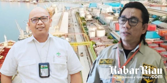 Mau Migor Stabil dan Ekspor CPO Lancar Ini yang Harus Dilakukan Jokowi