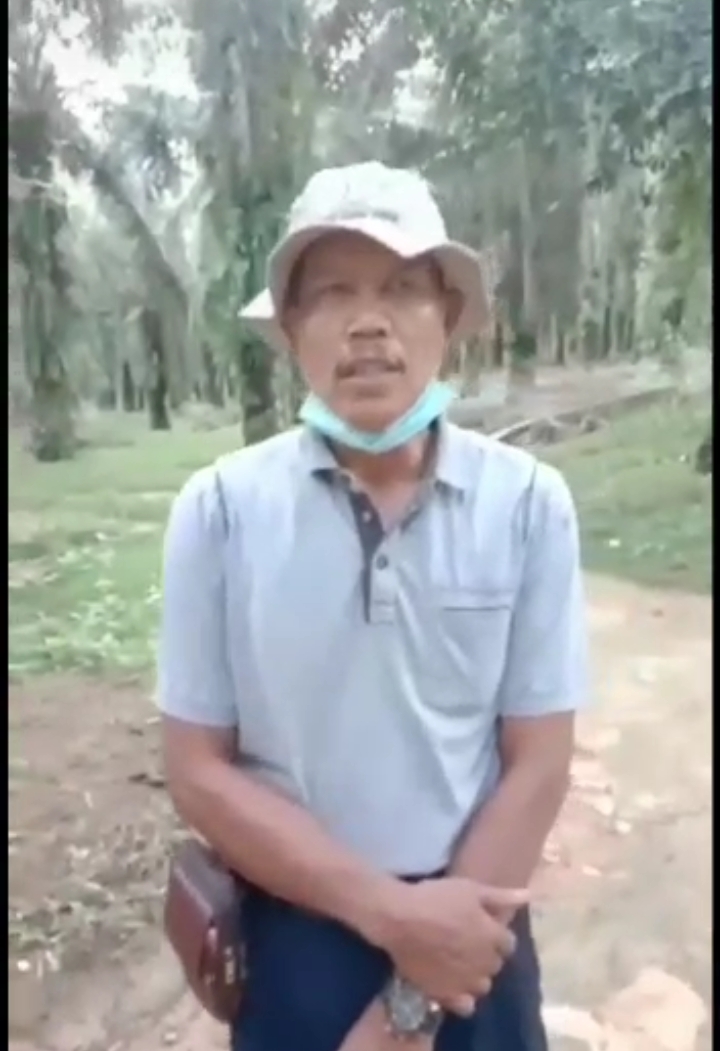 Presiden Buka Ekspor CPO! Kata Ketua Gapoktan Wada Agung Rohil, Terima Kasih Pak Presiden, Ekonomi Petani Sawit Mulai Pulih