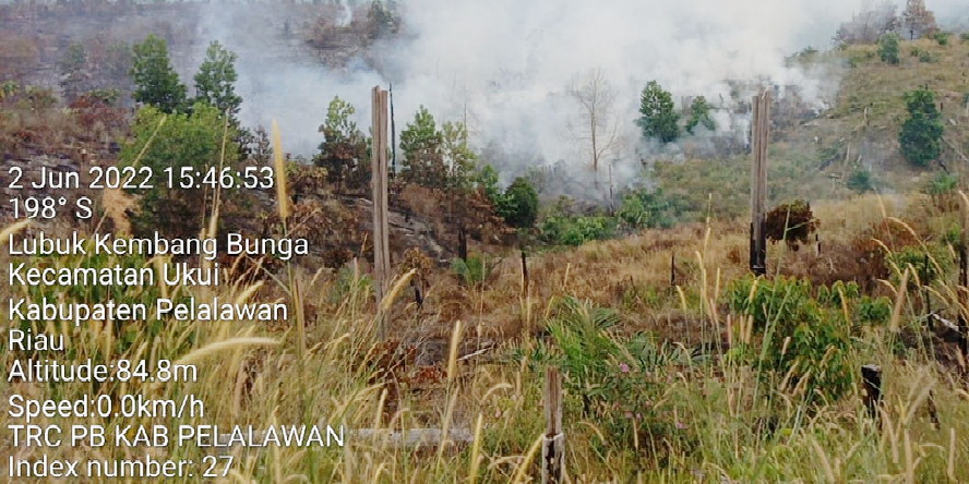 Hutan dan Lahan dalam TNTN Pelalawan Hangus “Terbakar Apa Dibakar” ARIMBI; Ditegakkan Hukum Kenapa?