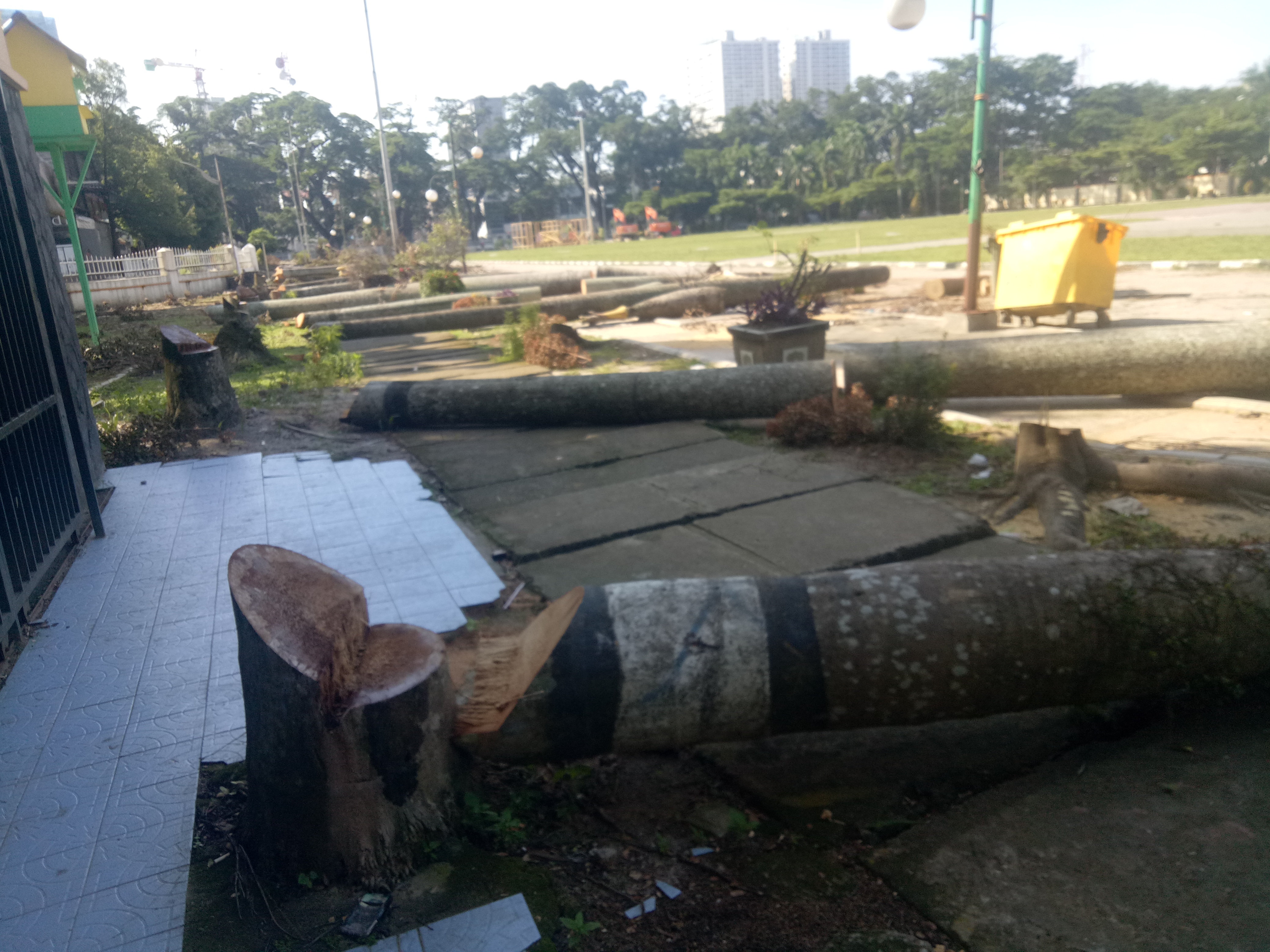 Aktifis Lingkungan dan LBH Humaniora Tolak Penebangan Pohon di Lapangan Merdeka Medan