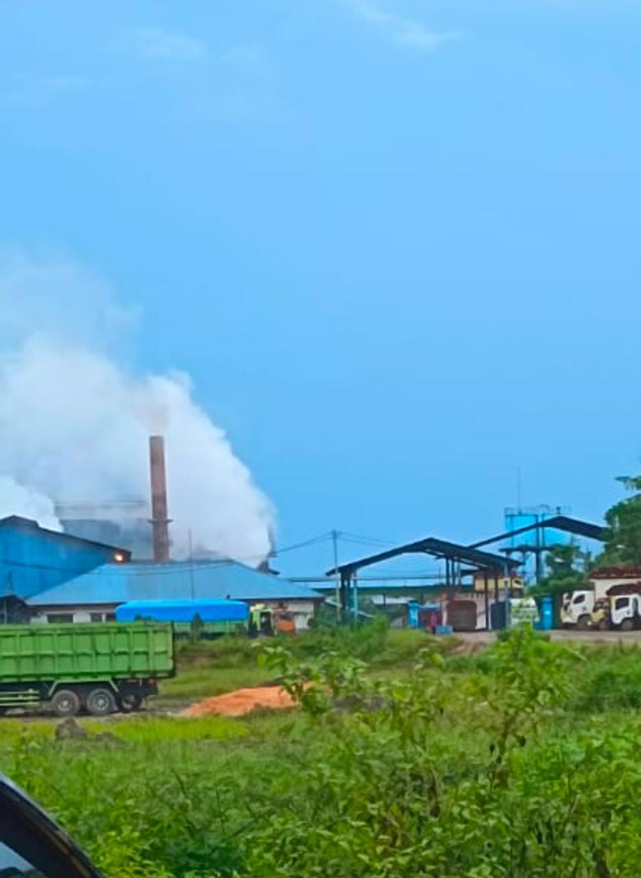 Vendor Tunggal di PT KAS Membuat Petani "Menjerit"