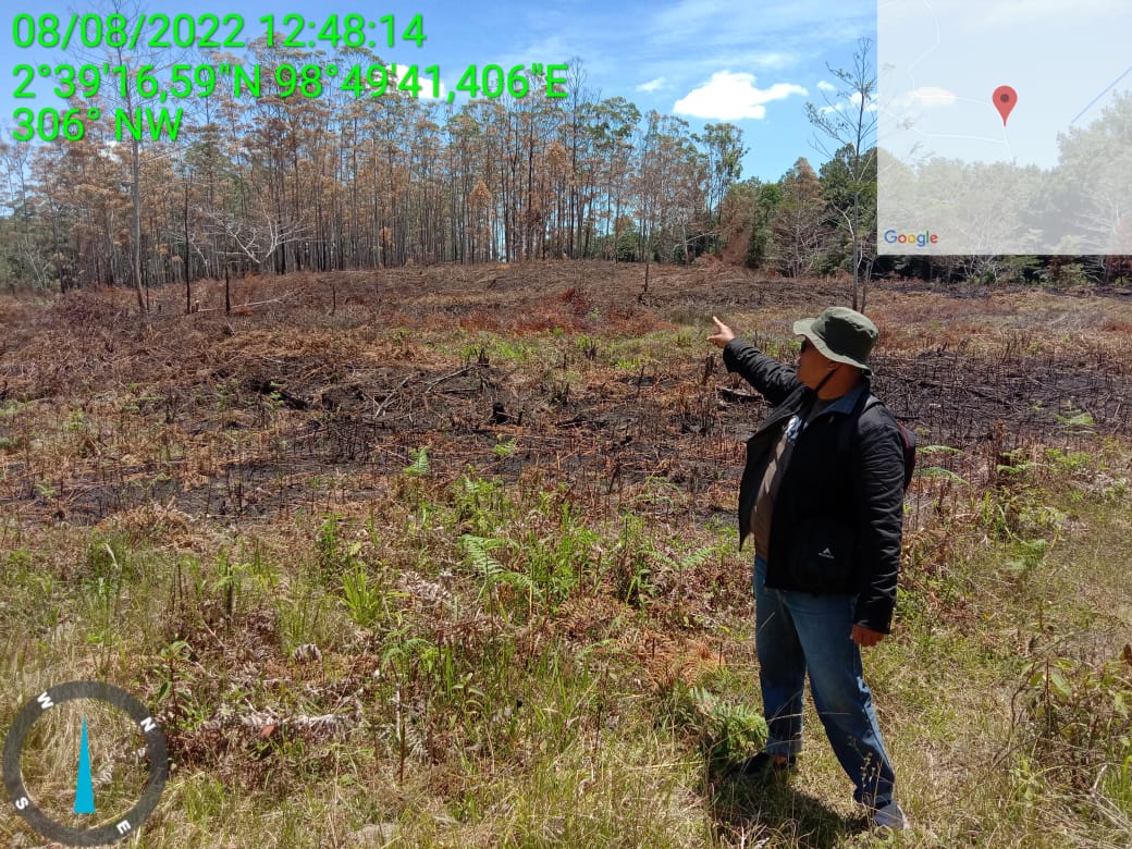 LKLH Akan Demo Gakkum KLHK Wilayah Sumatera : Merdekakan Hutan Samosir