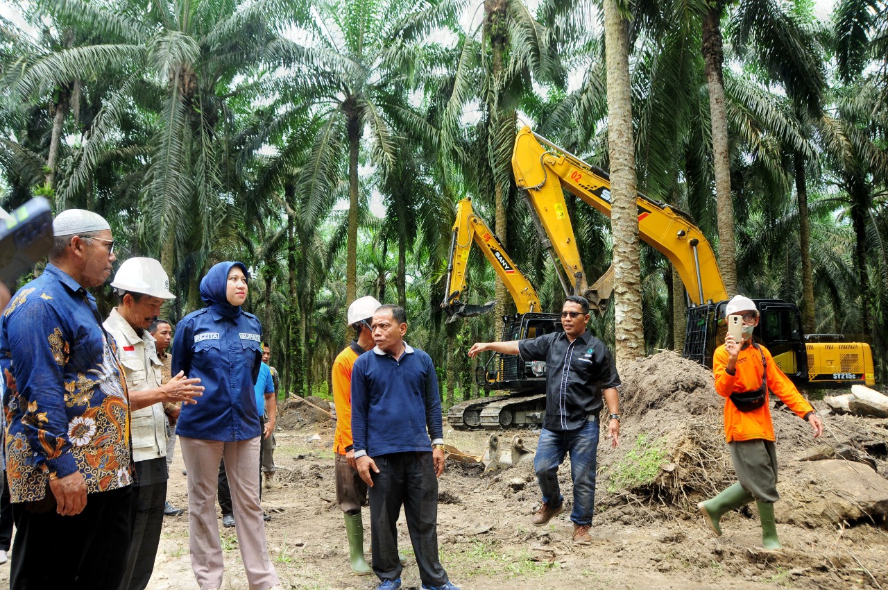 Bupati Inhu Tanam Perdana Ribuan Hektar Sawit PSR