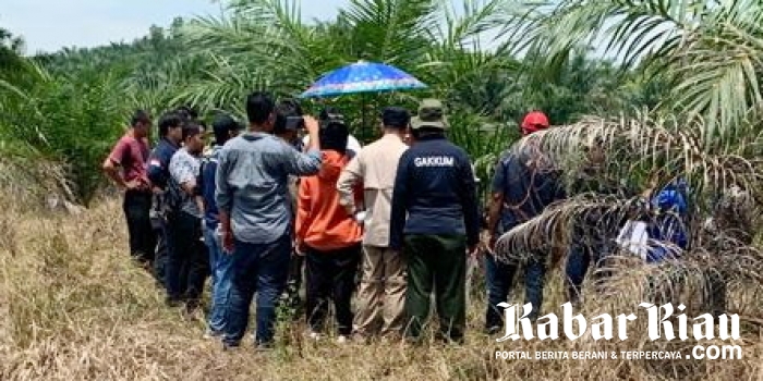 Hakim PN Pekanbaru Ketuk Palu Saat Sidang Lapangan Dekat Limbah Minyak Berserakan di Lahan Warga 