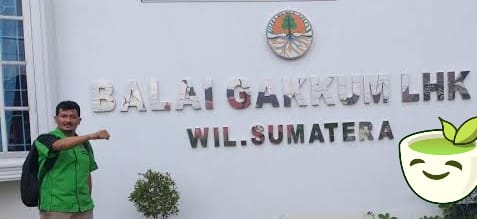 LKLH Laporkan Dugaan Tindak Pidana Penebangan Pohon di Kota Medan Ke Kepala Gakkum KLHK Wilayah Sumatera