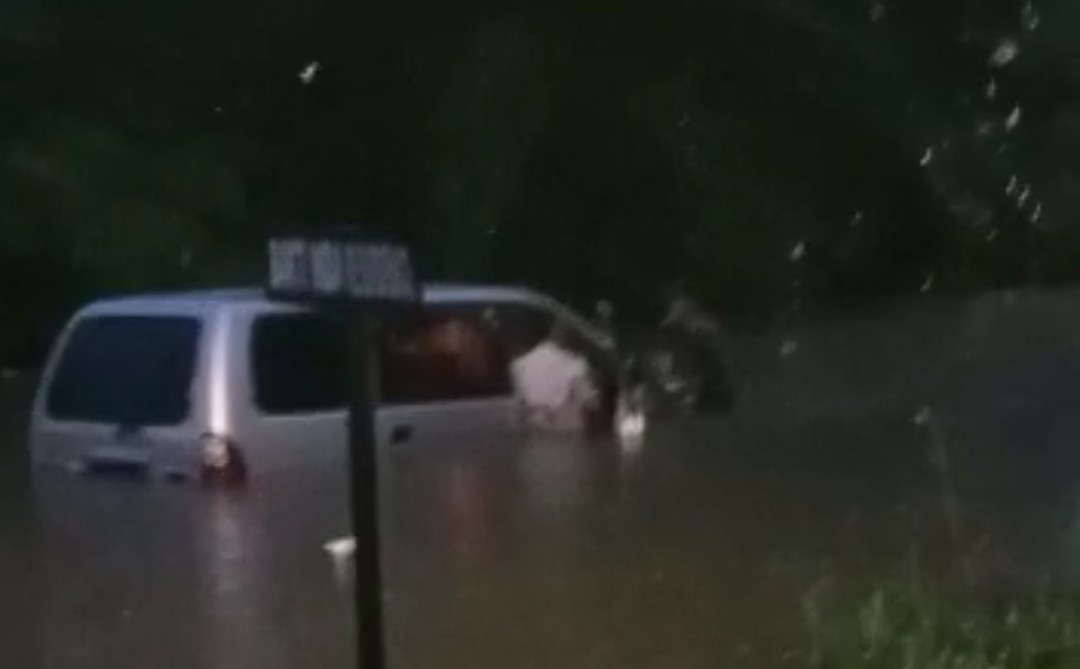 Wajah Kota Medan Hari ini, Bencana Ekologis, Banjir dan Penebangan Pohon