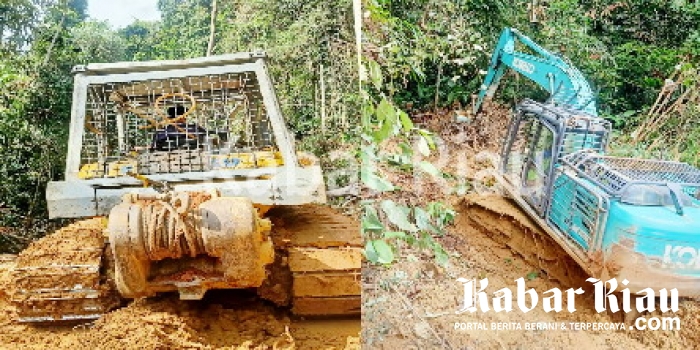 Tersangka Pembabat Hutan Kembali Beraksi Bahkan Abaikan APH, Buk Siti Nurbaya Kemana Lagi Kami Mengadu