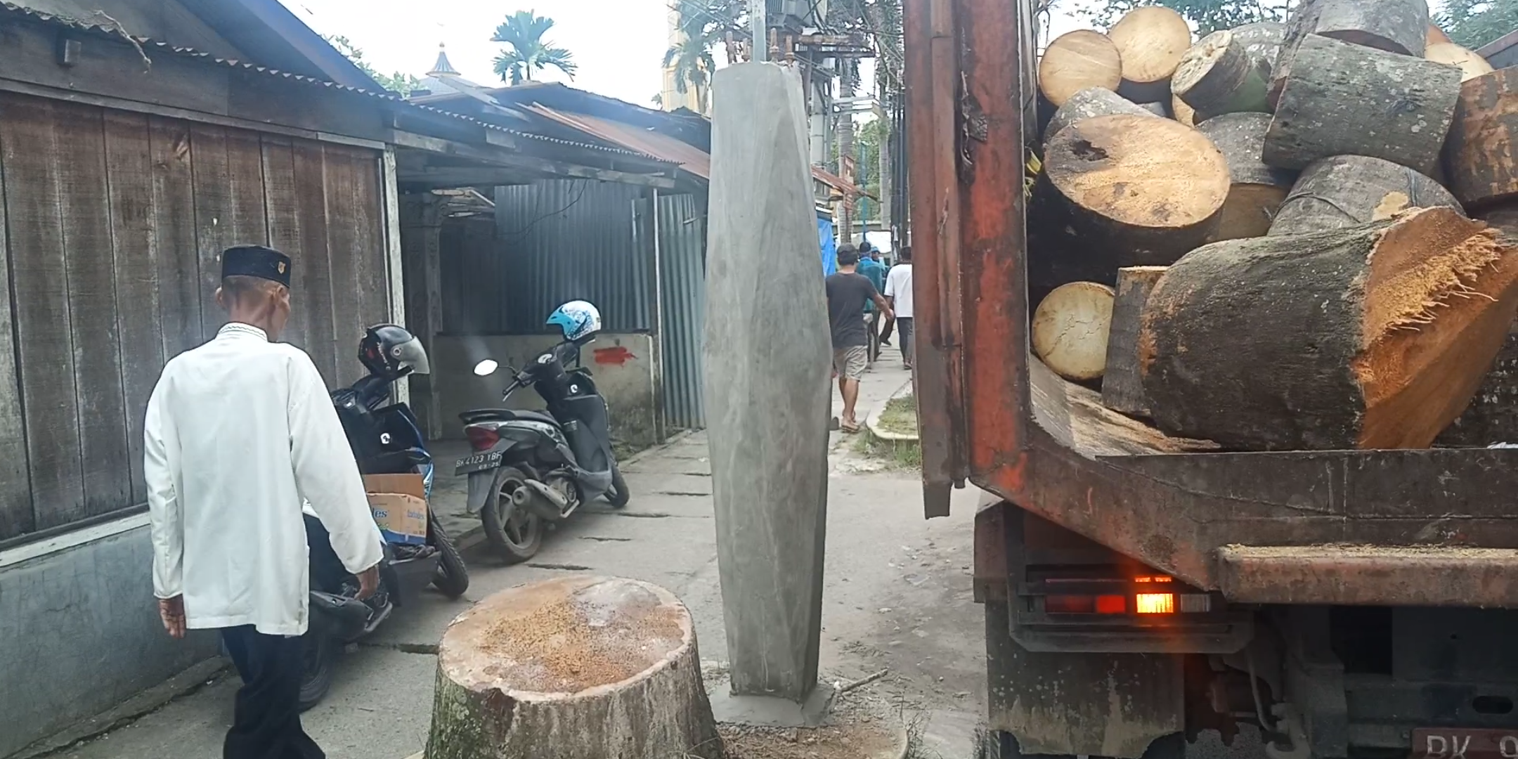 Aktifis Lingkungan Kecam Penebangan Pohon Oleh Pemko Medan Demi Proyek Lampu Jalan