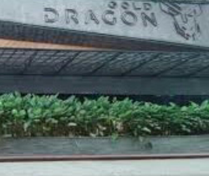 Omset Ratusan Juta, Konfirmasi WP Parkir, Kontak WA Wartawan Di Blokir Manajemen Hollywing (Golden Tiger) Di Medan