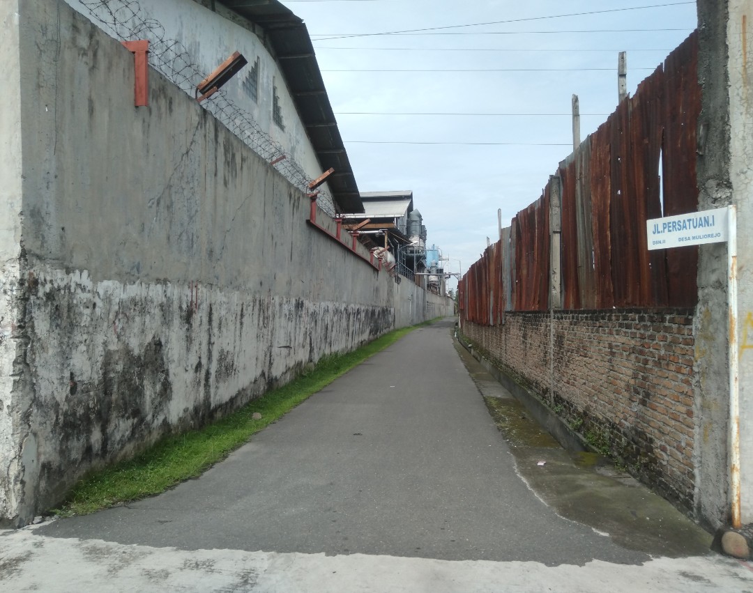 Di Duga Berbau Korupsi AMPS Akan Gelar Aksi Demo Minta KPK Periksa Jual - Beli Aset Jalan Persatuan 1 Yang Di Beli Oleh PT Latexindo Toba Perkasa