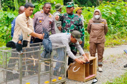 Hari Lingkungan Hidup 2023, Danramil 1710-03/KK Ikut Melepasliaran Satwa Ke Habitat Alamnya