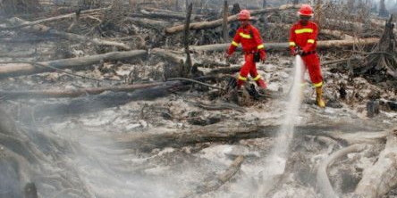 Pertengahan Juni 2023 Hotspot di Riau, Siak "Juara?"