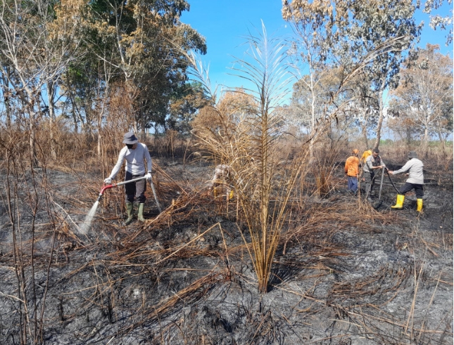 DAMPAK KEBAKARAN HUTAN MENDATANGKAN BENCANA 