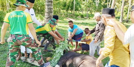 Satgas Yonarmed 1 Kostrad Ramaikan Perayaan Idul Adha Di Daerah Penugasan