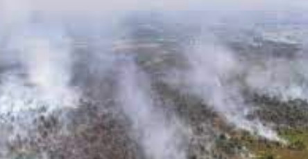 Diguyur Hujan Selama Tiga Hari, Riau Tetap Rekor Hotspot