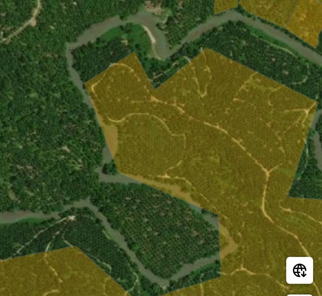 LKLH Sumut Pra Sengketa RSPO PT. Inti IndoSawit Subur / Group Asian Agri Atas Krisis DAS Piasa - Asahan