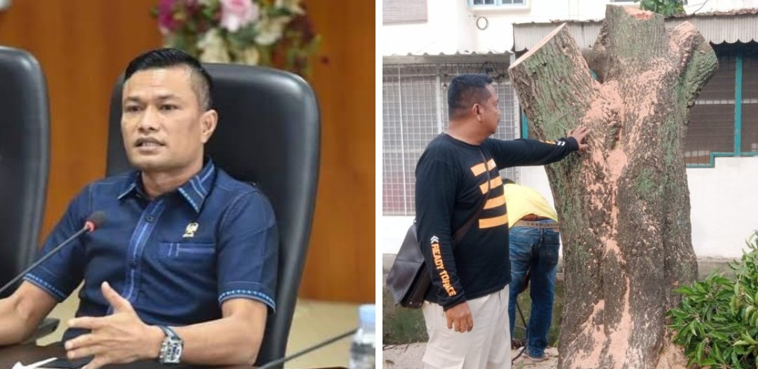 Terkait "Begal" Pohon Oleh Dinas SDABMBK Kota Medan Dan Penolakan Warga, Haris Kelana Damanik Sebut Gak Mau Cari Panggung 