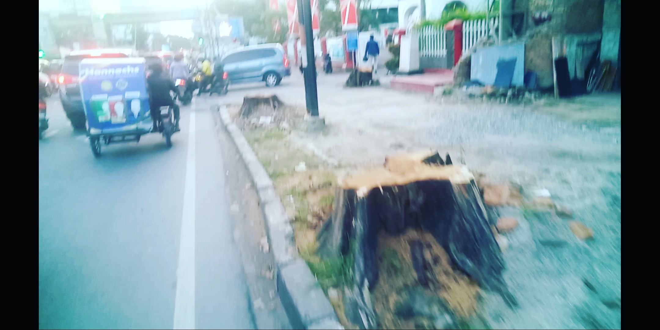 RTH Dan Daya Serap Permukaan Kota Medan Makin Rendah, Usut "Begal Pohon" Di Depan Kantor Telkom Jl. H. Muhammad Yamin