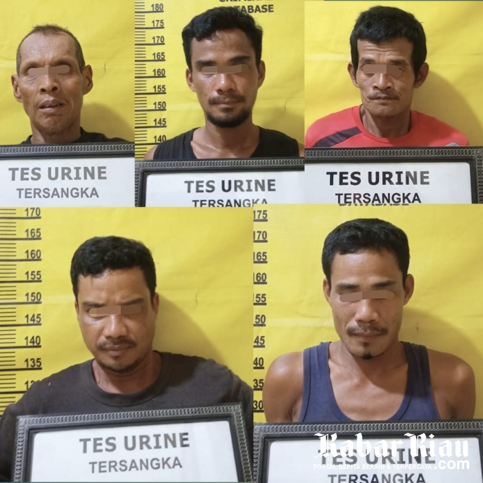 Demi Narkoba, 5 Karyawan Swasta Nekat Curi Sawit Majikan