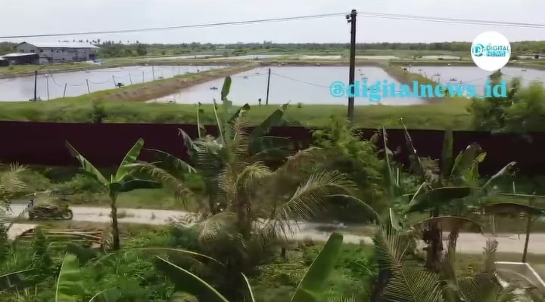 Paska RDP DPRD Deli Serdang Bahas 40.8 Hektar Pemagaran Pantai Labu Di Kawasan Hutan, Di Minta Proses Hukum