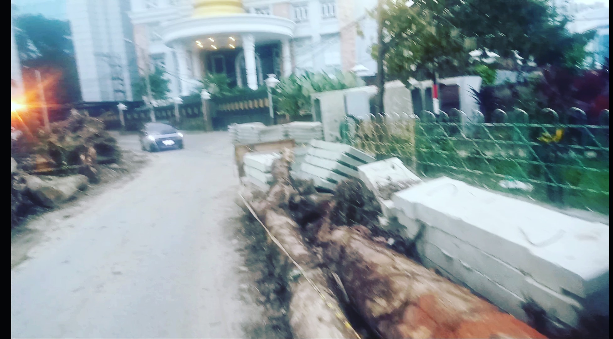 Di Hari Lingkungan Hidup Sedunia Tahun 2025, Dinas SDABMBK Kota Medan Ugal Ugalan "Begal" Pohon