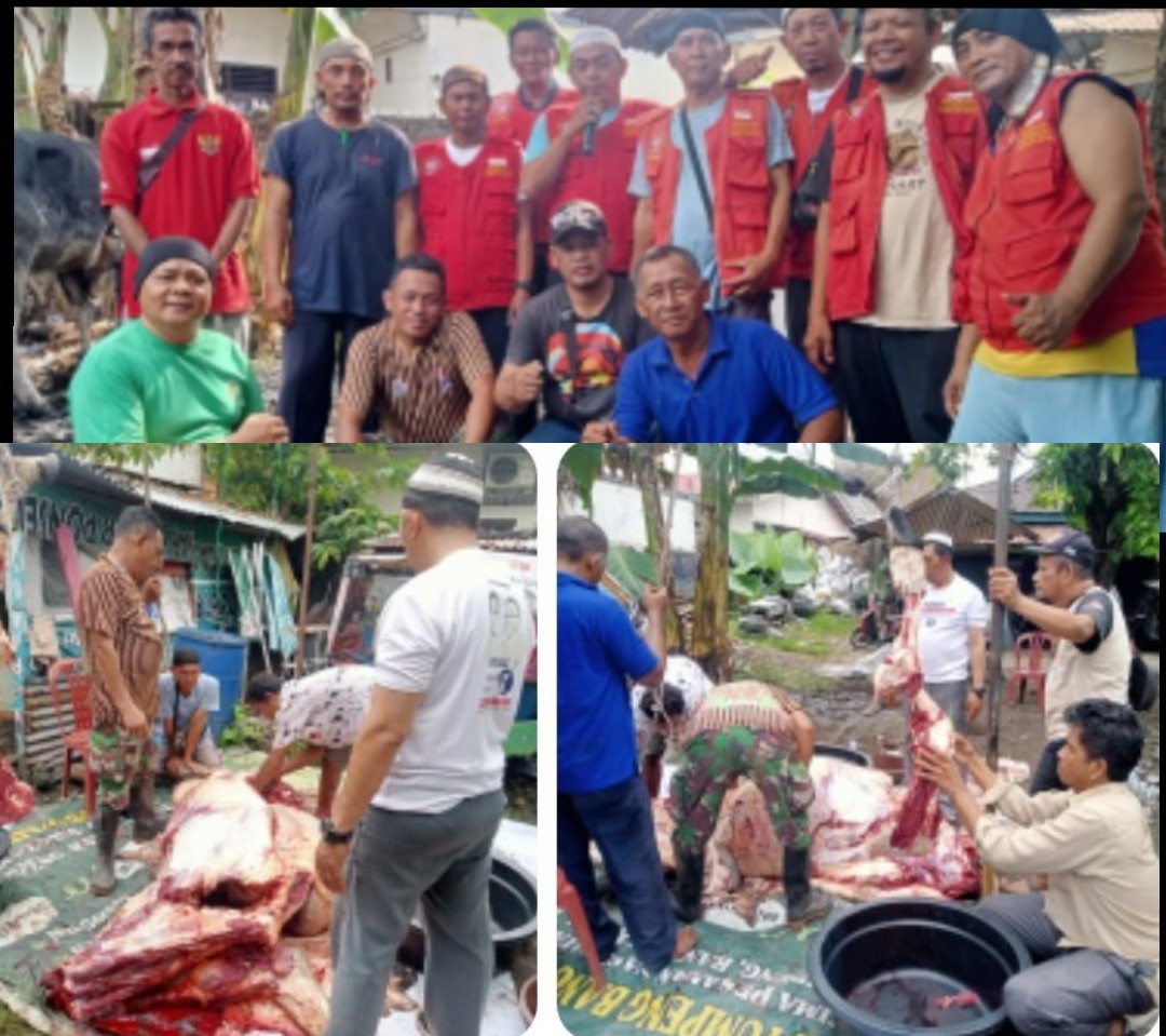 Rayakan Idul Adha 1446/2025, DPP Satu Betor Sembelih Hewan Kurban