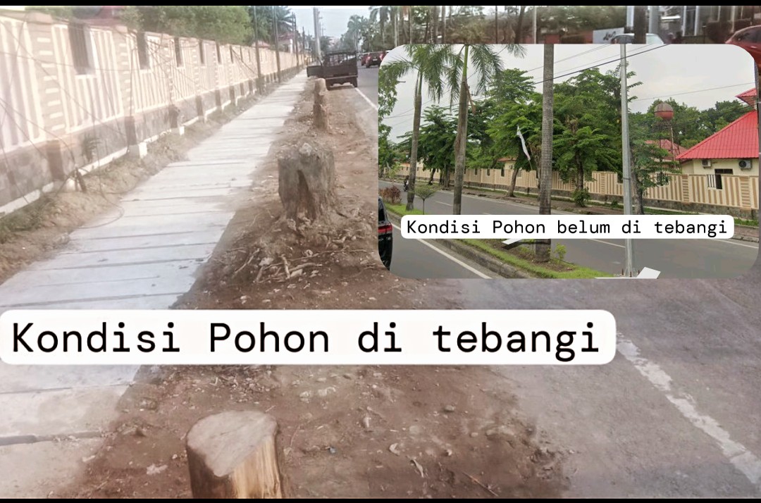 Pemko Medan Harus Bertanggung Jawab Atas Kekurangan RTH Dan Pohon Di Tebangi Secara Ugal - Ugalan Di Depan Kantor PTPN 3 