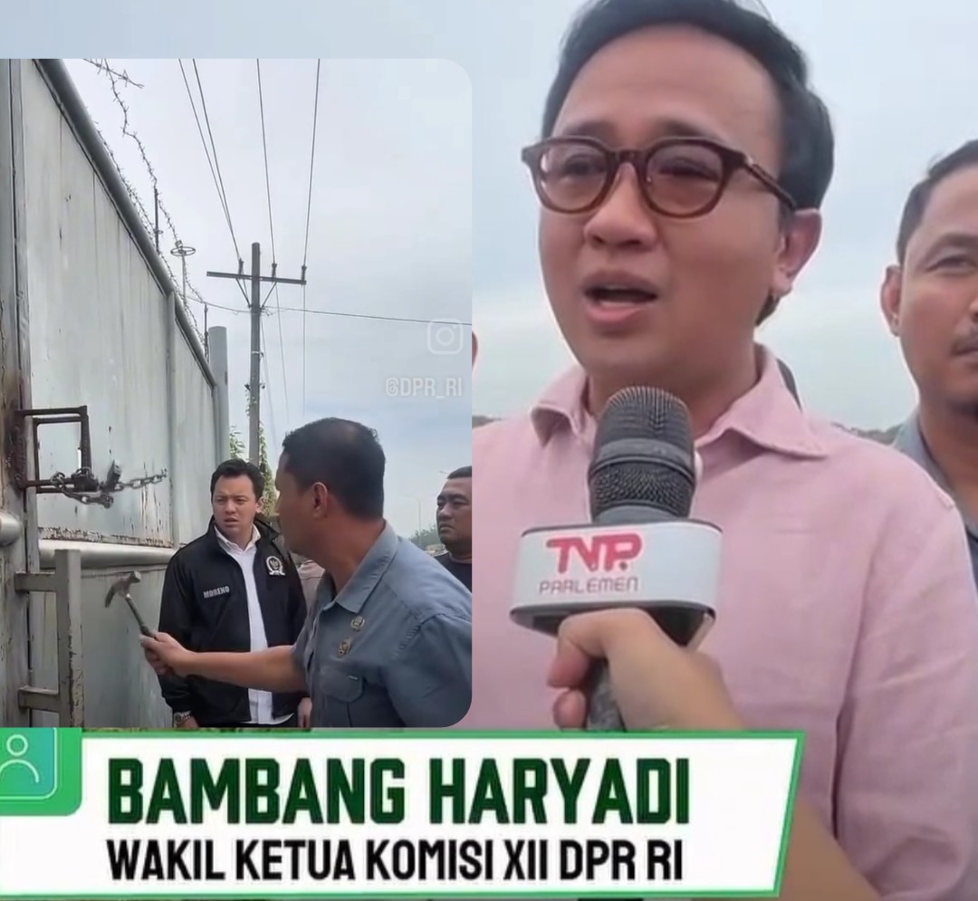 Rusak Ekosistem, Komisi XII DPR RI Sidak Ke Area Penimbunan Di PT STCC Medan Belawan Minta Pelaku Di Tindak Tegas Dan Di Segel